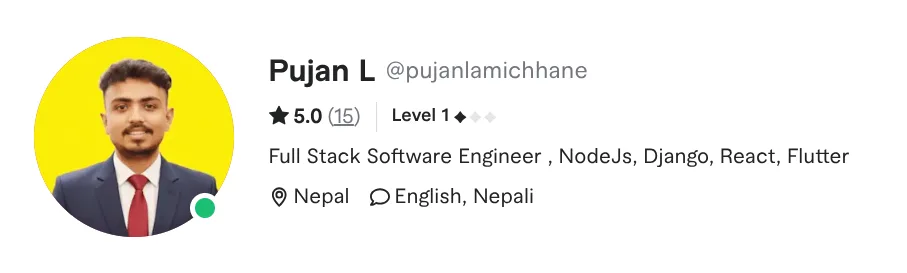 Fiverr profile snapshot